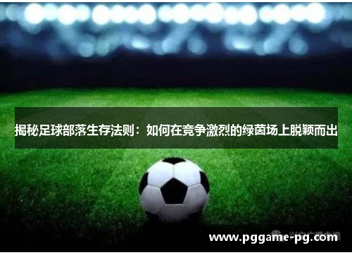 揭秘足球部落生存法则:如何在竞争激烈的绿茵场上脱颖而出 揭秘足球部落生存法则:如何在竞争激烈的绿茵场上脱颖而出