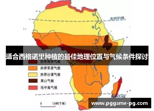 适合西格诺里种植的最佳地理位置与气候条件探讨