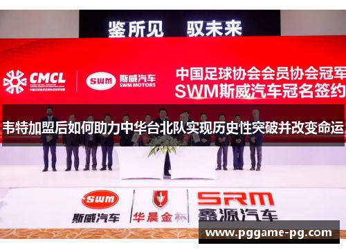 韦特加盟后如何助力中华台北队实现历史性突破并改变命运