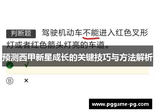 预测西甲新星成长的关键技巧与方法解析