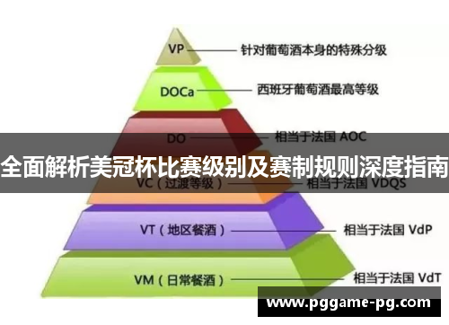 全面解析美冠杯比赛级别及赛制规则深度指南