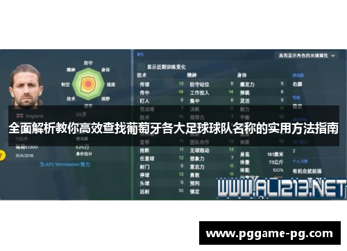 全面解析教你高效查找葡萄牙各大足球球队名称的实用方法指南