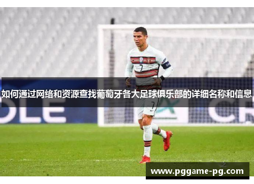 如何通过网络和资源查找葡萄牙各大足球俱乐部的详细名称和信息